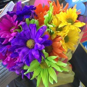 Meet your Posher, Carla